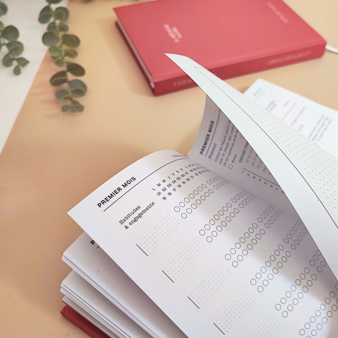 Le Journal Perte de Poids 2