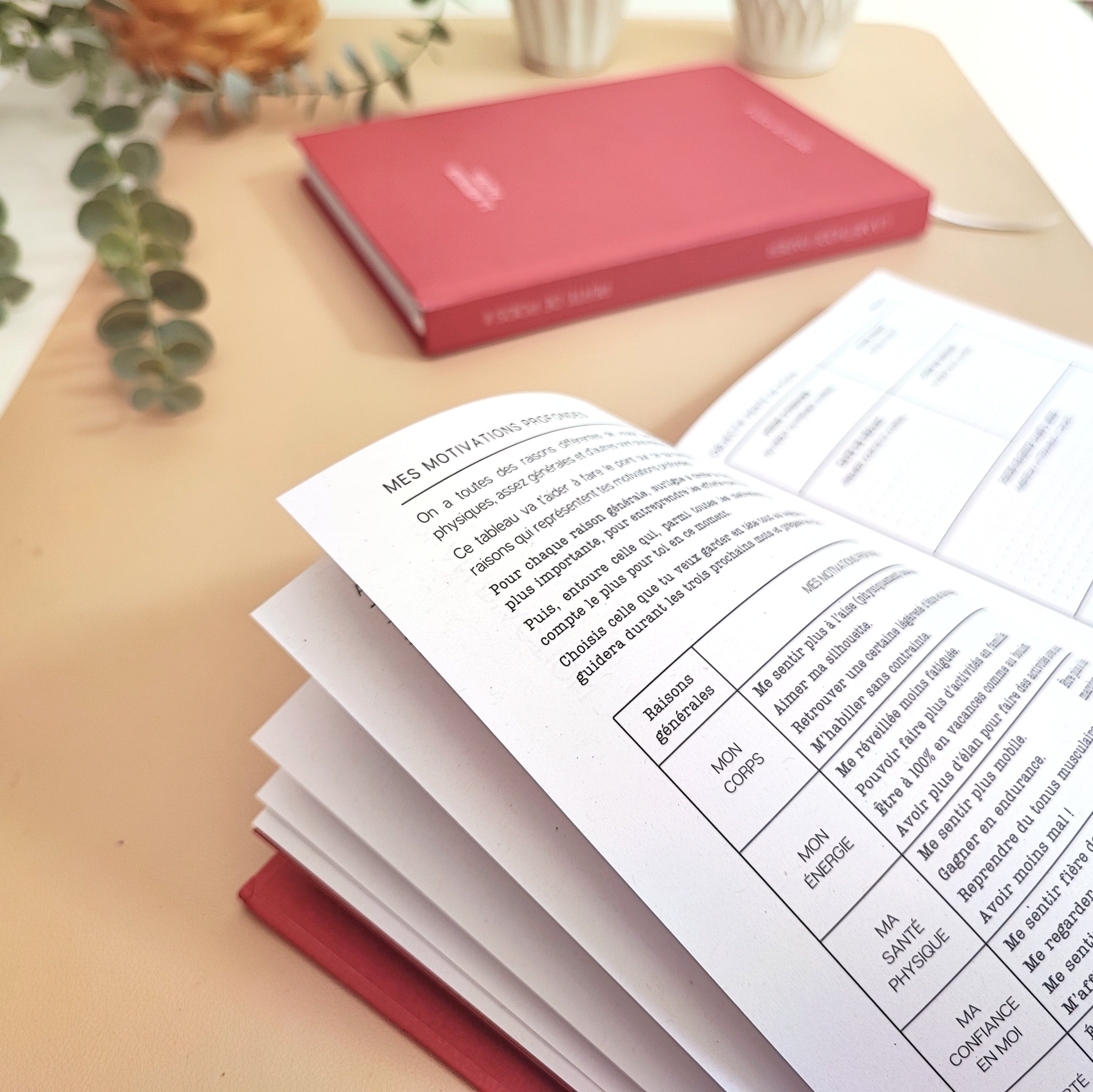 Le Journal Perte de Poids 2