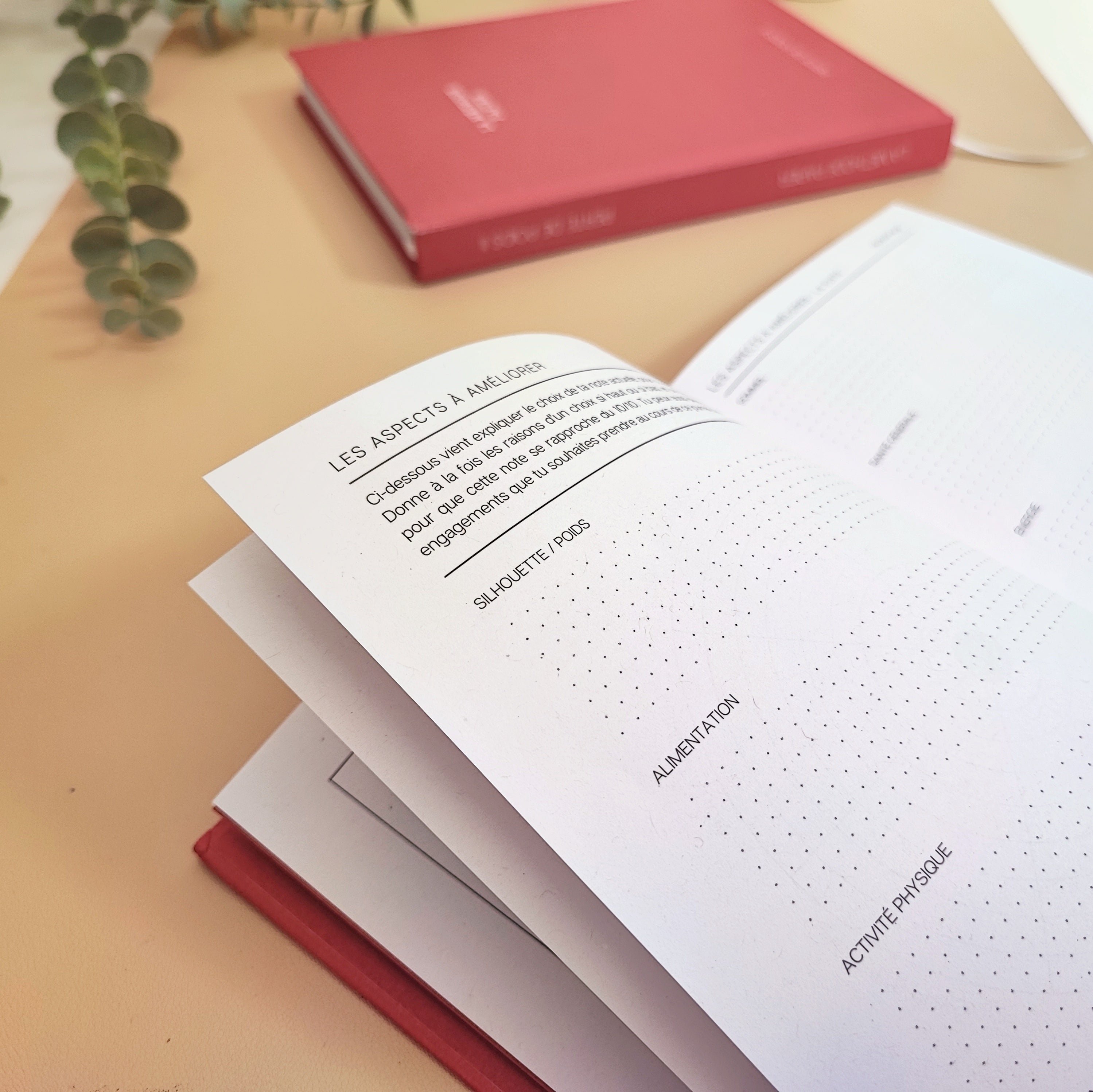 Le Journal Perte de Poids 2