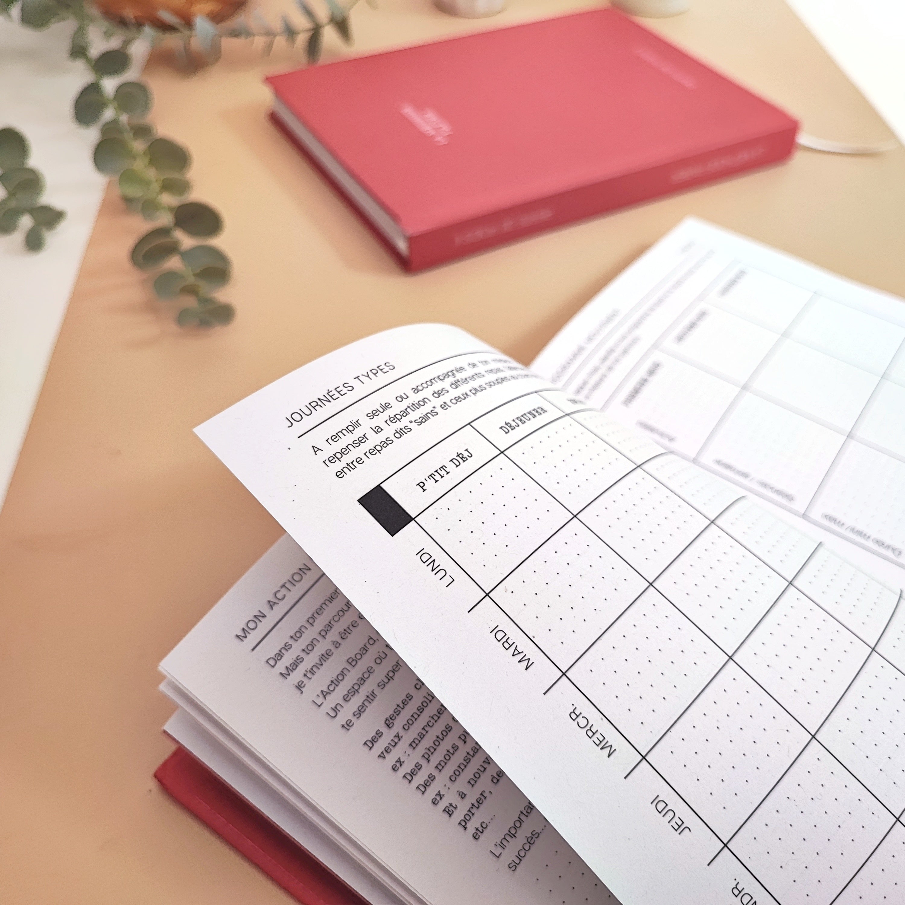 Le Journal Perte de Poids 2