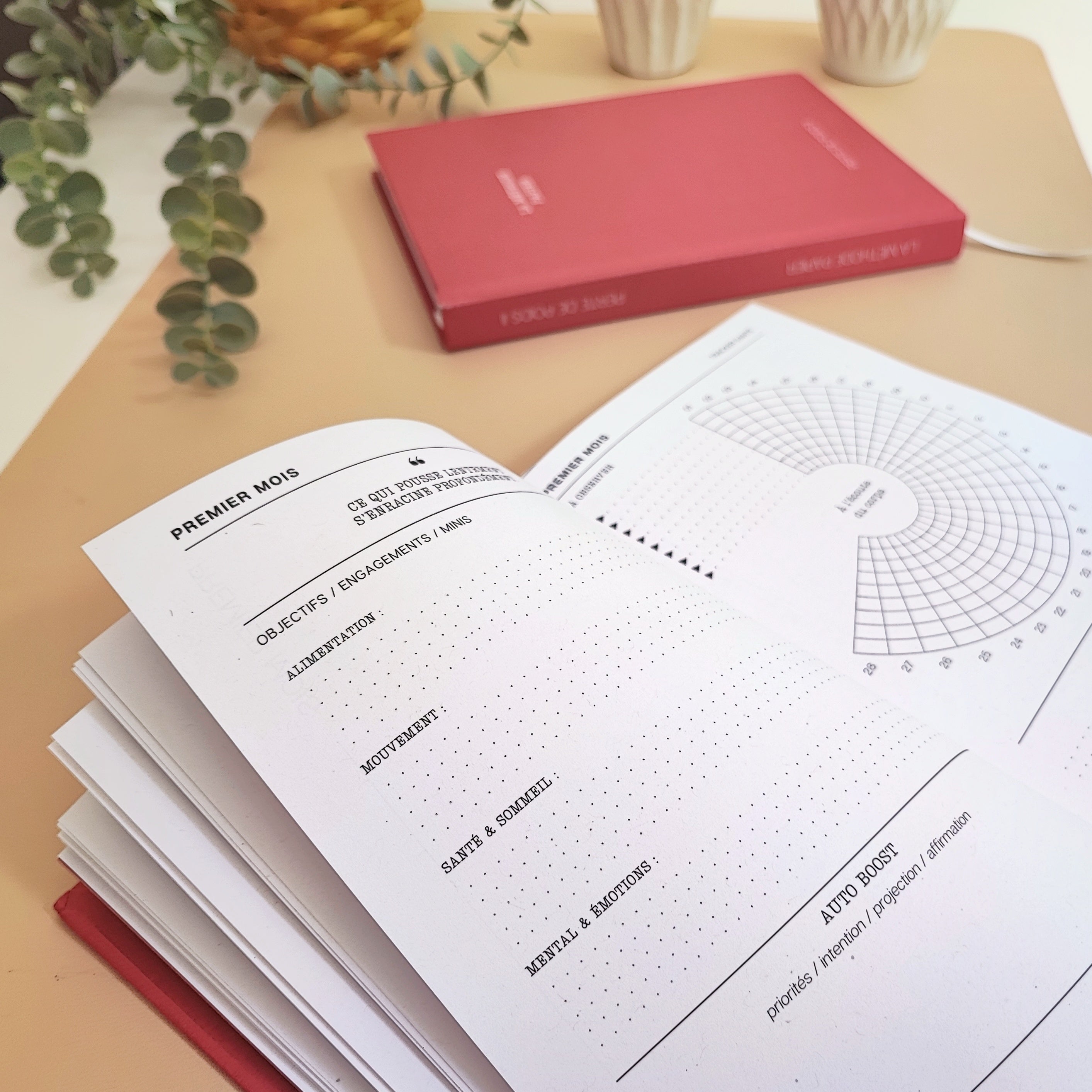 Le Journal Perte de Poids 2