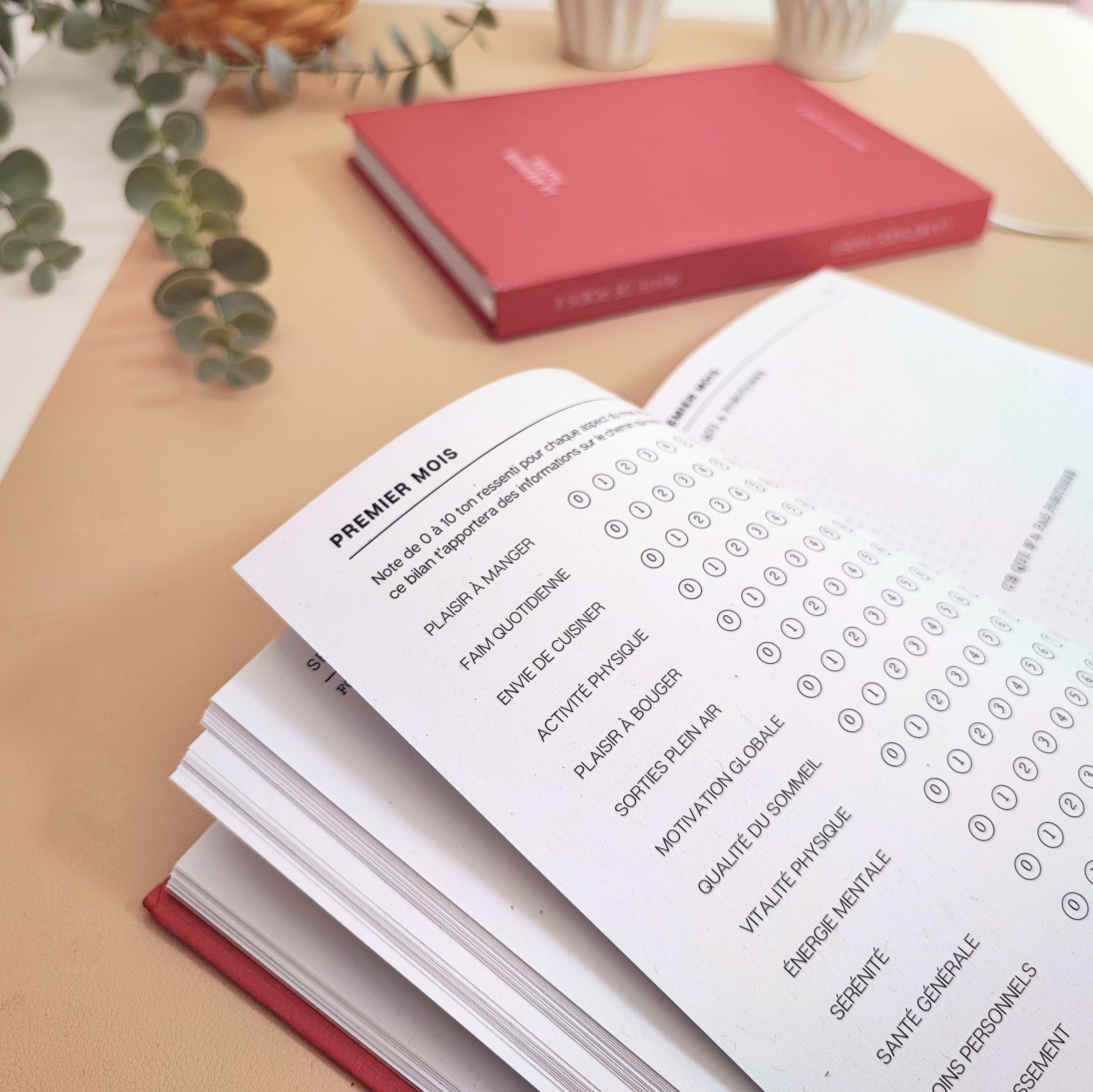 Le Journal Perte de Poids 2