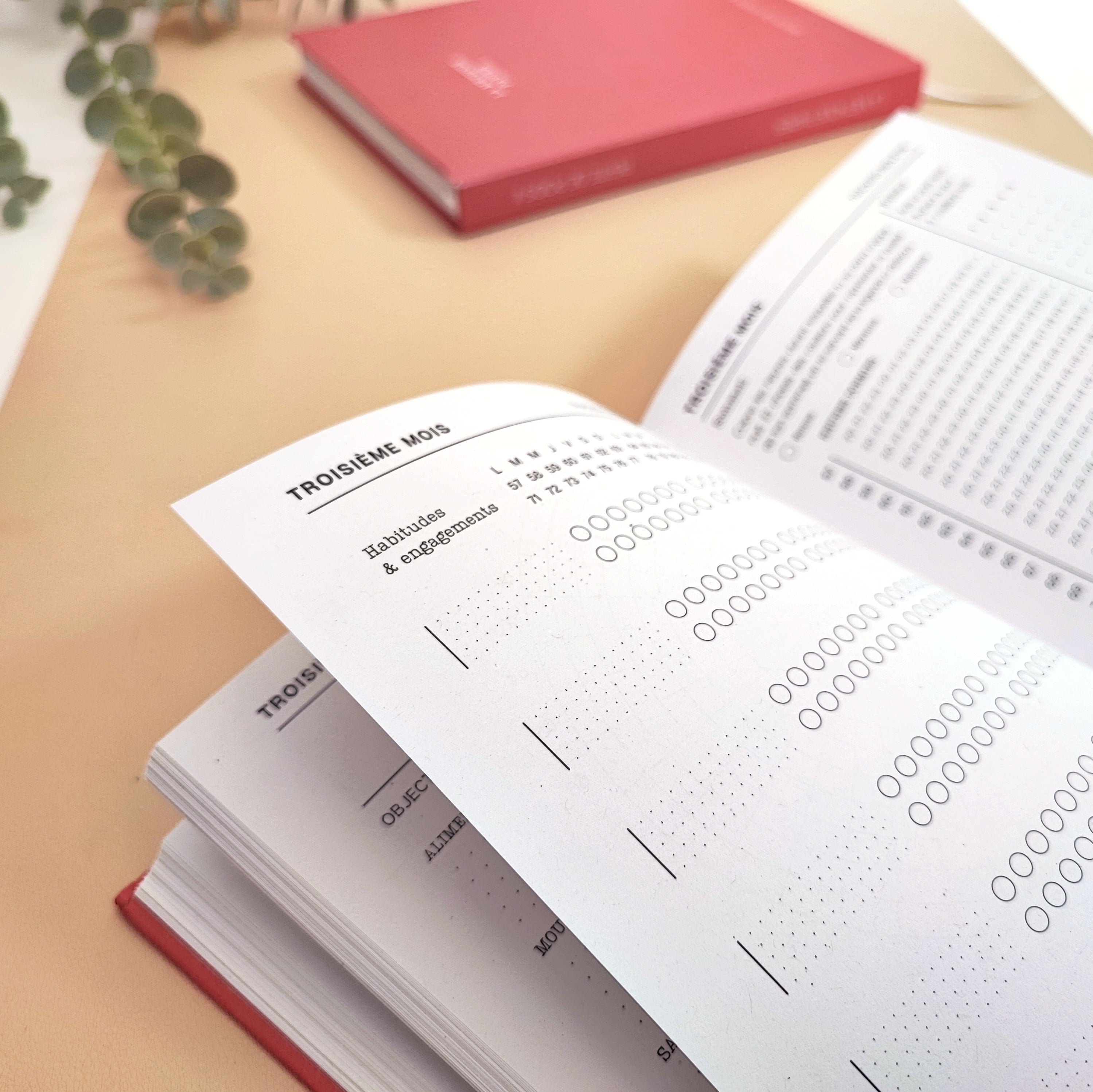 Le Journal Perte de Poids 2