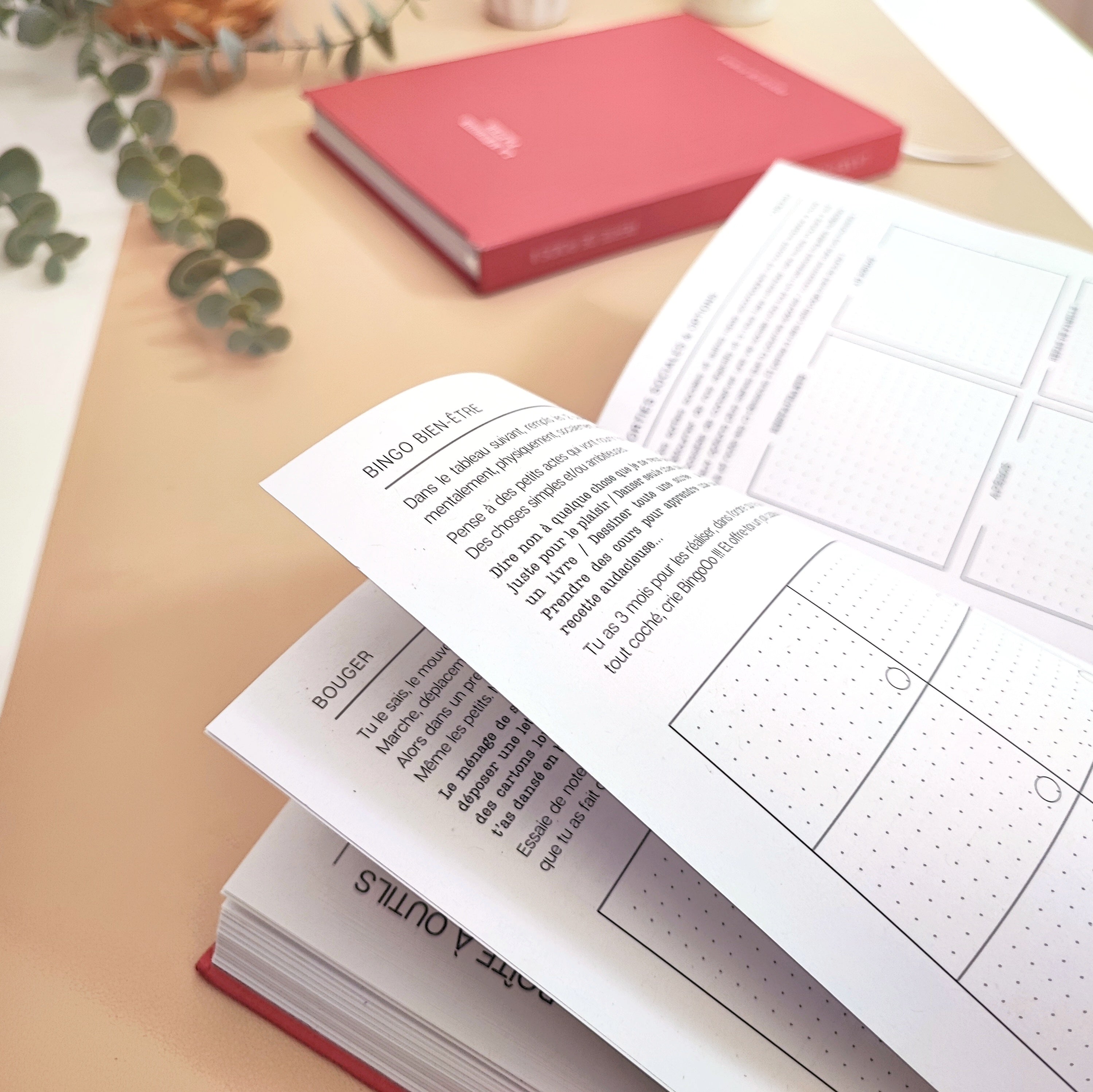 Le Journal Perte de Poids 2