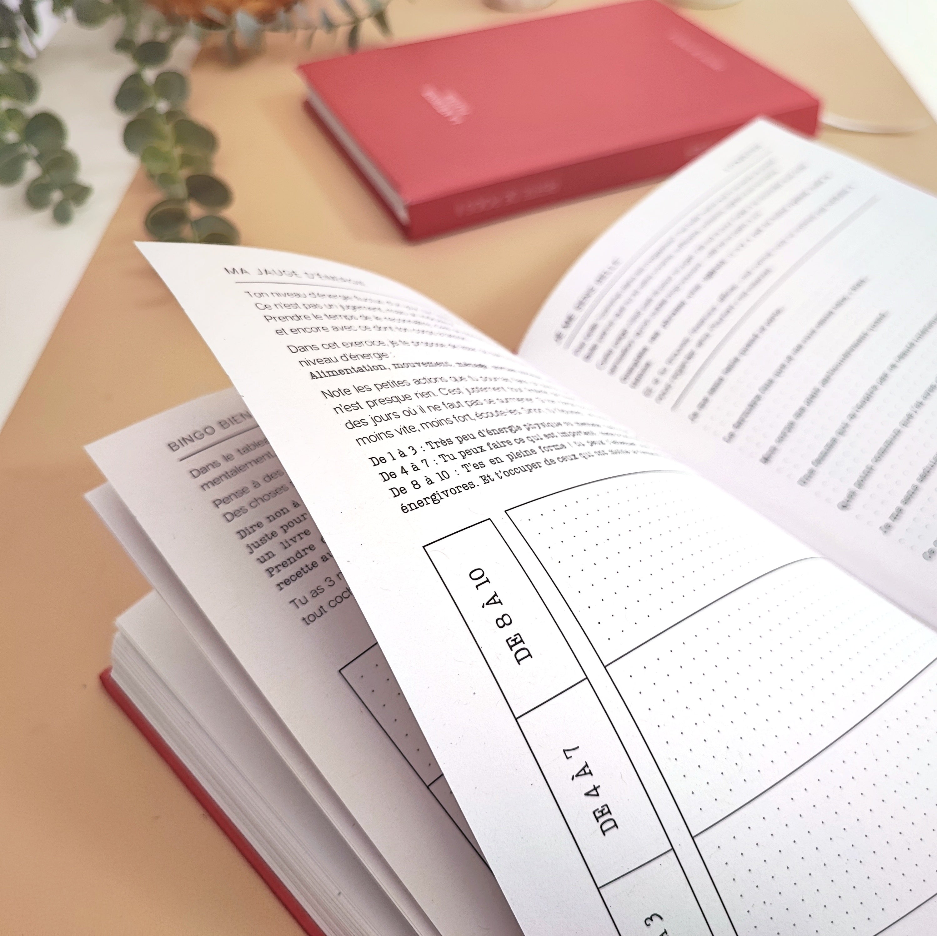 Le Journal Perte de Poids 2