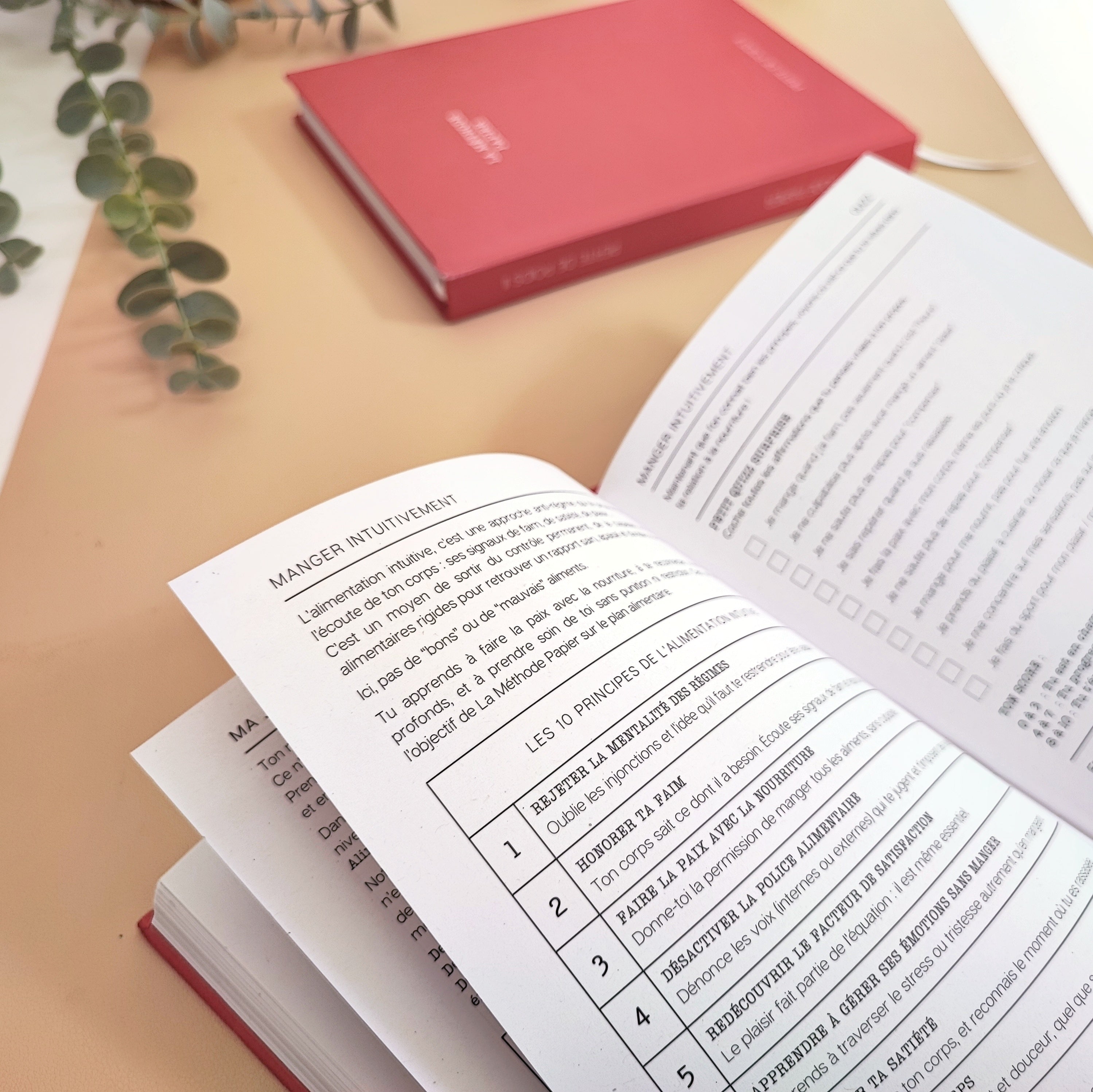 Le Journal Perte de Poids 2