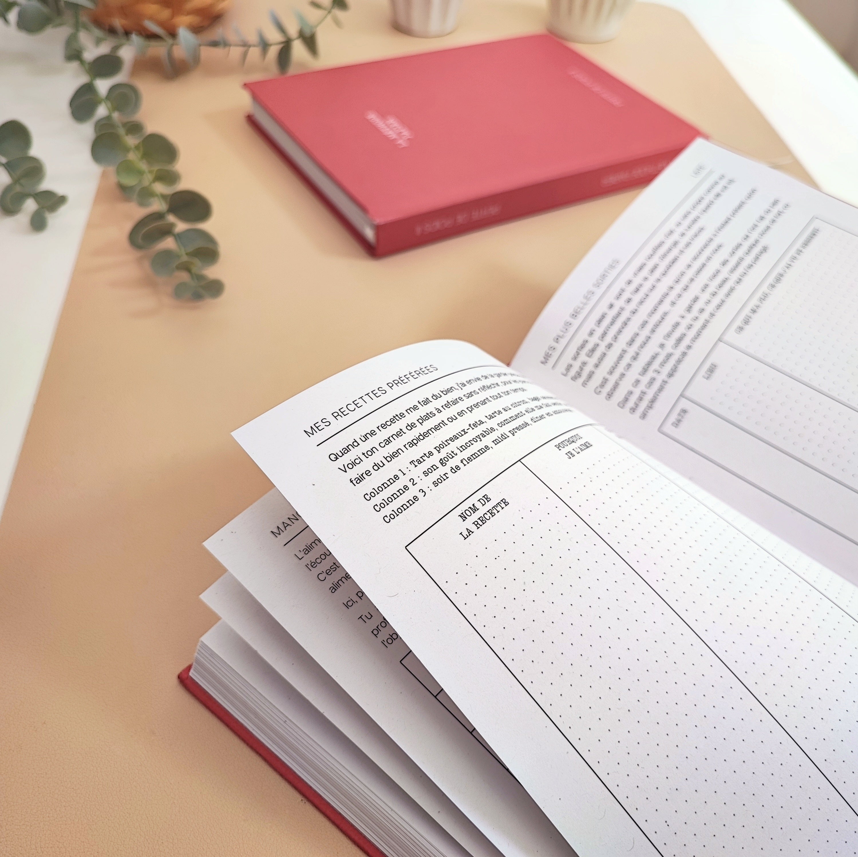 Le Journal Perte de Poids 2