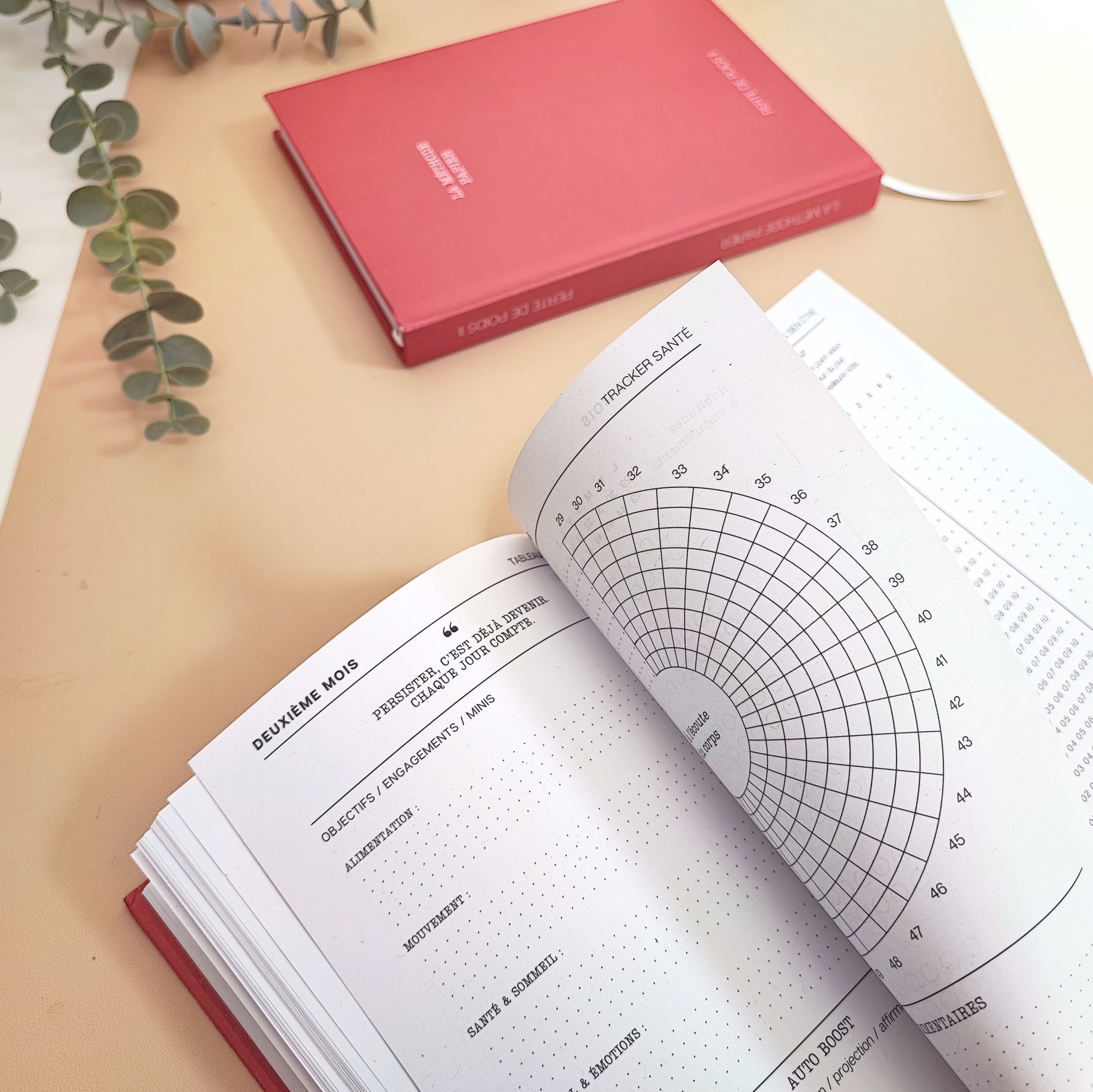 Le Journal Perte de Poids 2