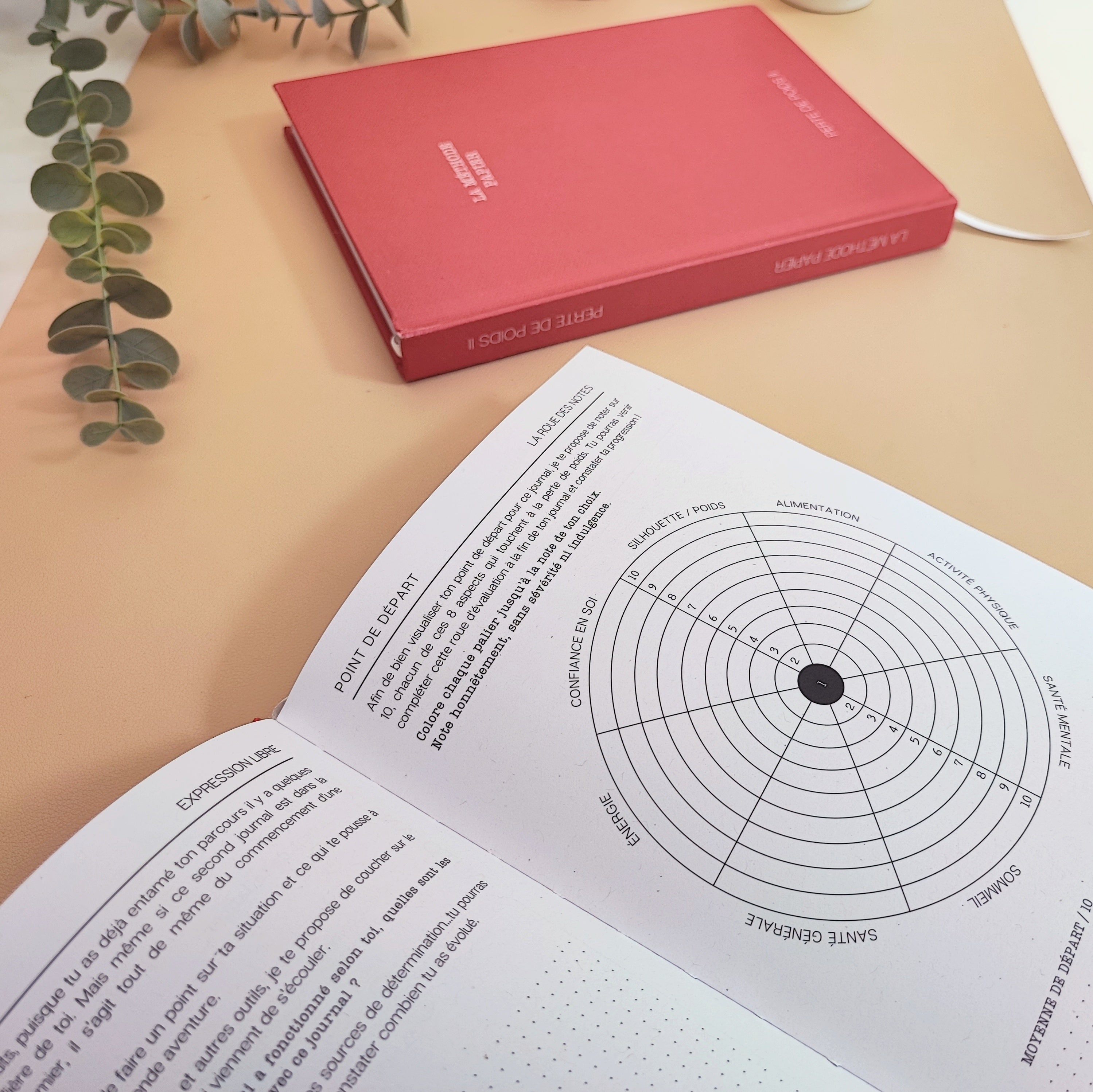 Le Journal Perte de Poids 2